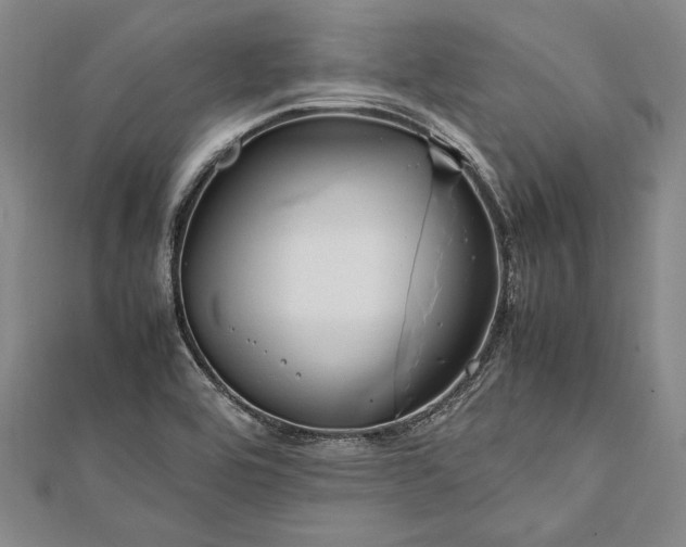 X0000112371464200908271308