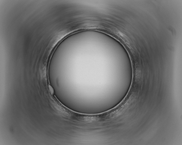 X0000112371465200908271308