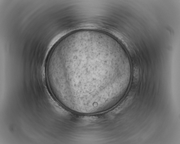 X0000112371466200908271307