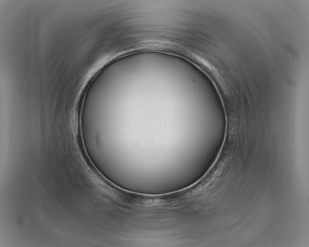 X0000112371467200908271307