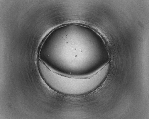 X0000112371468200908271307