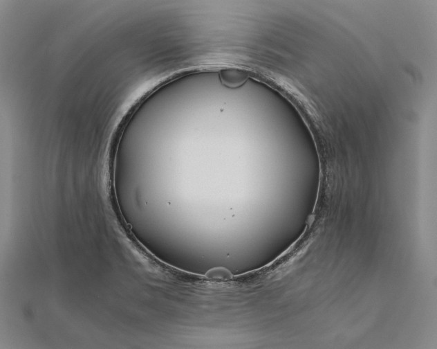 X0000112371469200908271307