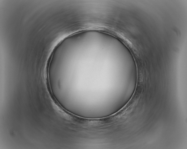 X0000112371471200908271307