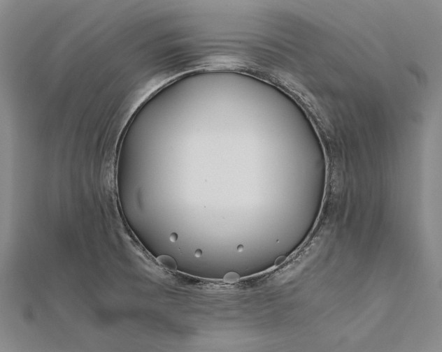 X0000112371473200908271307