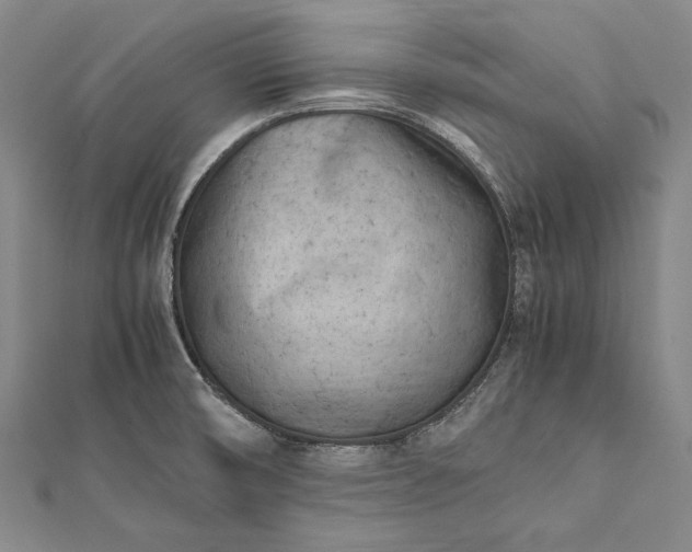 X0000112371474200908271307