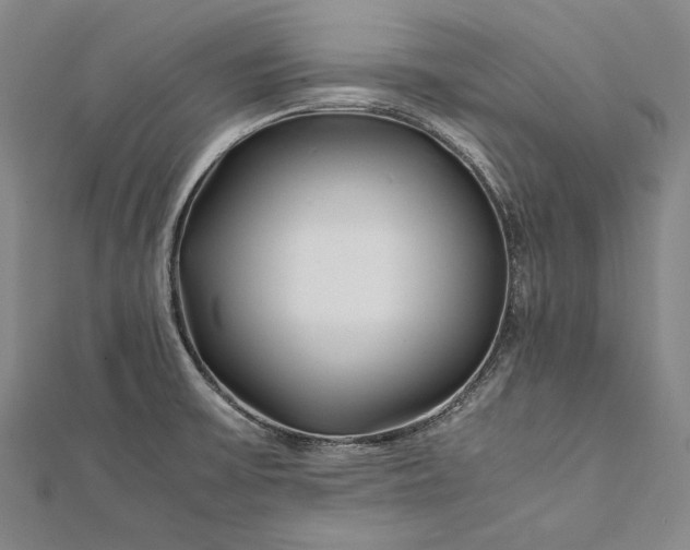 X0000112371475200908271307