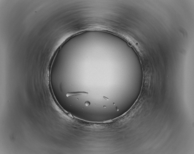 X0000112371476200908271307