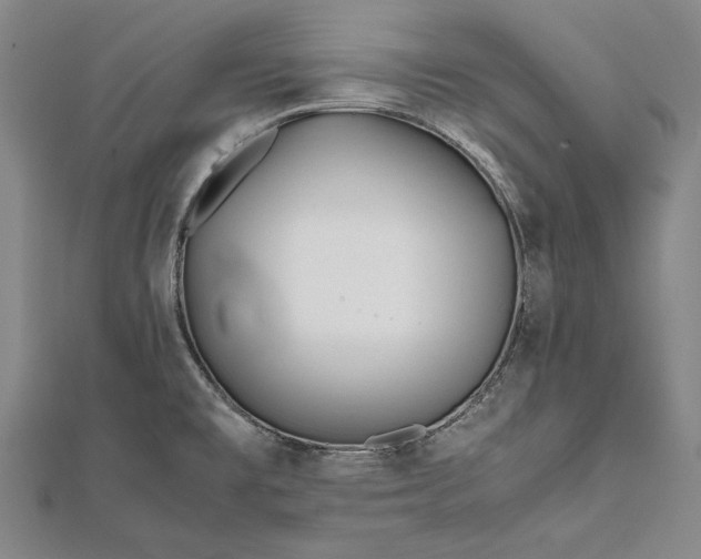 X0000112371477200908271307