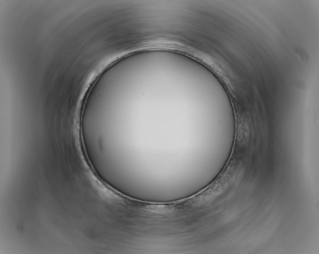 X0000112371478200908271307