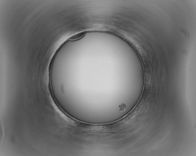 X0000112371479200908271307