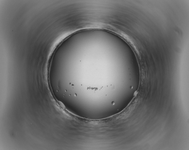 X0000112371480200908271307