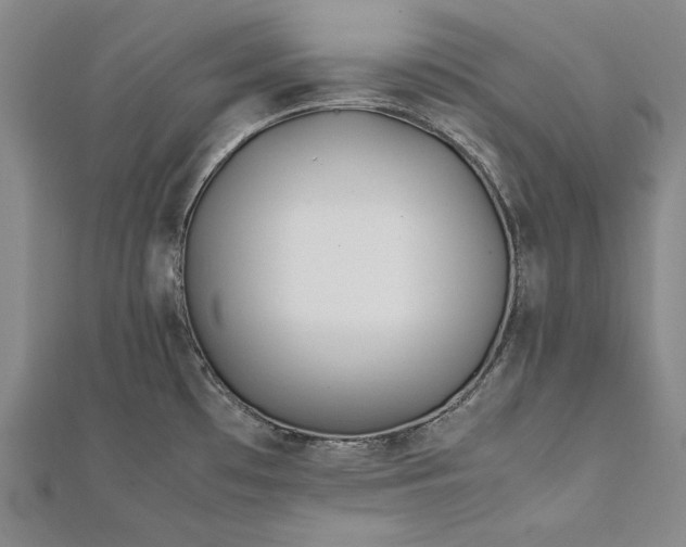 X0000112371481200908271307