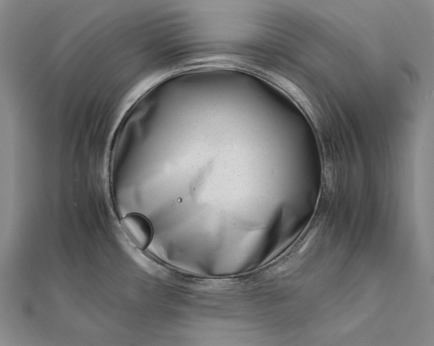 X0000112371482200908271307