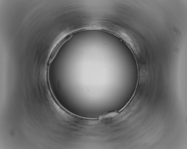 X0000112371484200908271307