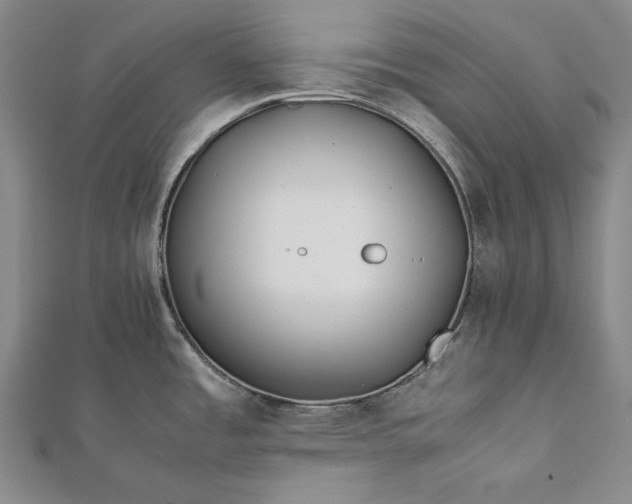 X0000112371485200908271307