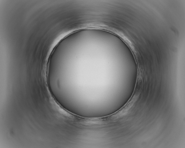 X0000112371486200908271307