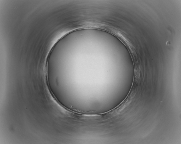 X0000112371487200908271307