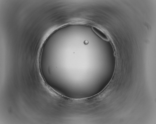 X0000112371488200908271307