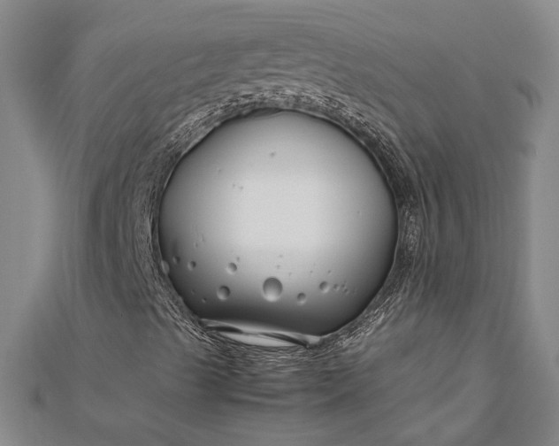 X0000112371489200908271307