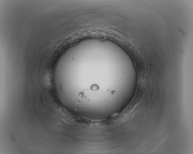 X0000112371490200908271307