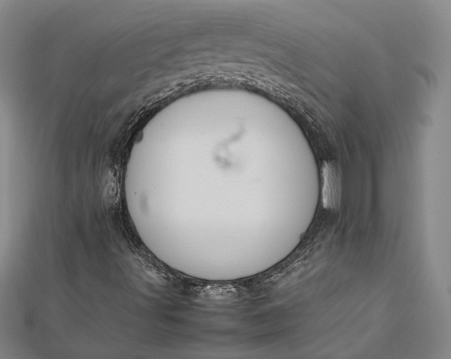 X0000112371491200908271307