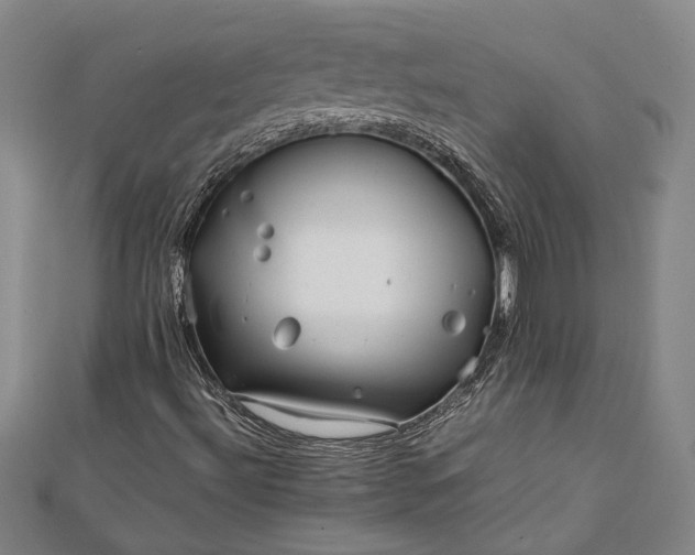 X0000112371492200908271307