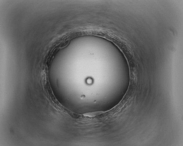 X0000112371493200908271307