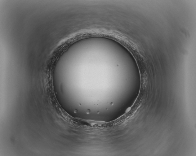 X0000112371494200908271307