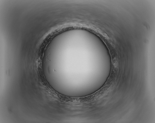 X0000112371495200908271307