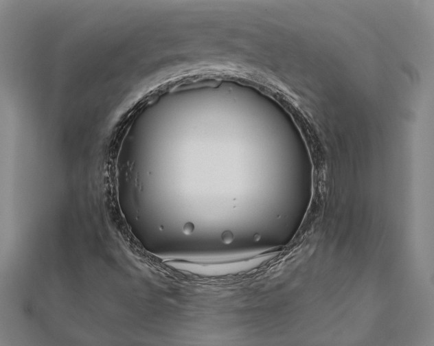 X0000112371496200908271307