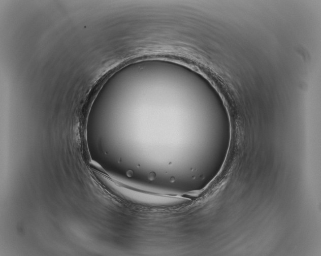 X0000112371497200908271307