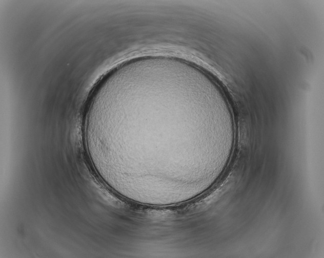 X0000112371498200908271307