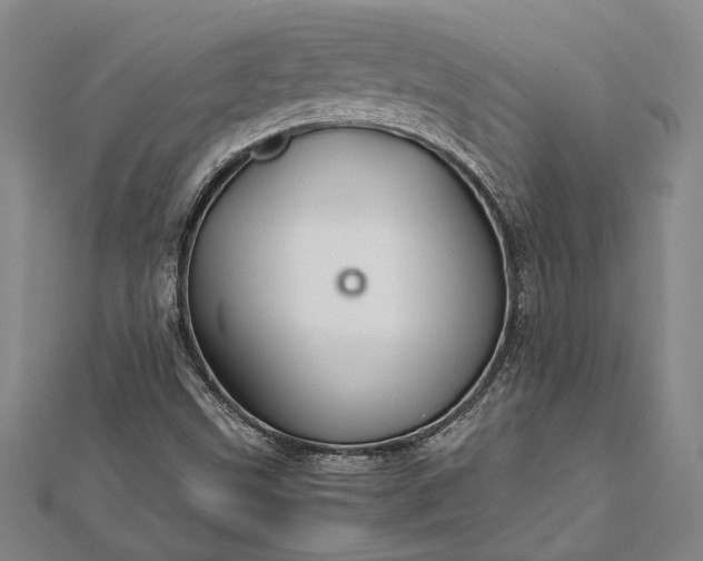 X0000112371499200908271307