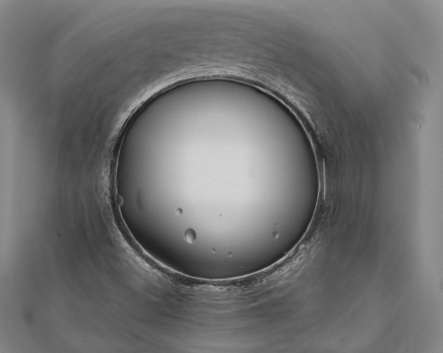 X0000112371500200908271307