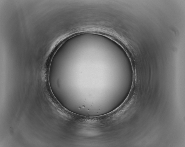 X0000112371501200908271307