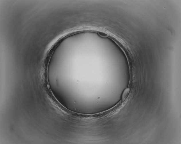 X0000112371502200908271307