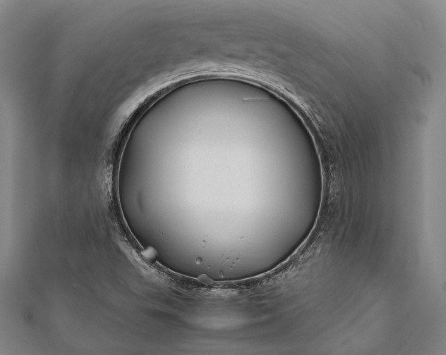 X0000112371503200908271307