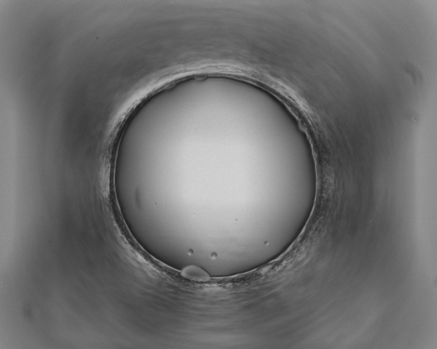 X0000112371504200908271307