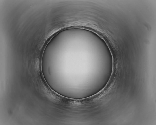 X0000112371505200908271307