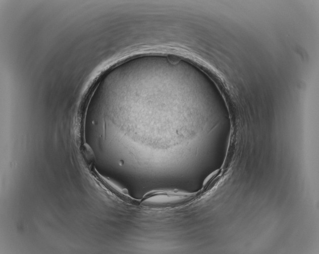 X0000112371506200908271307