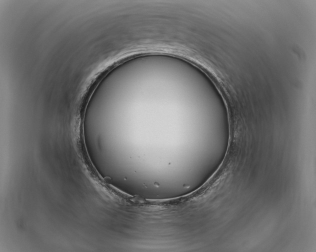 X0000112371507200908271307