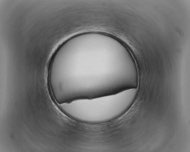 X0000112371508200908271307