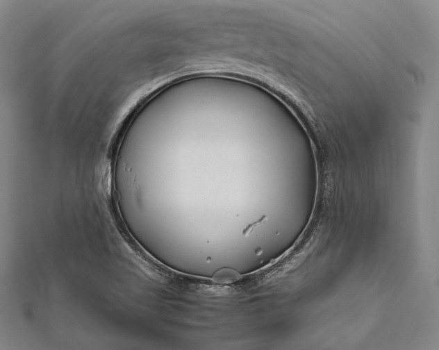 X0000112371509200908271307