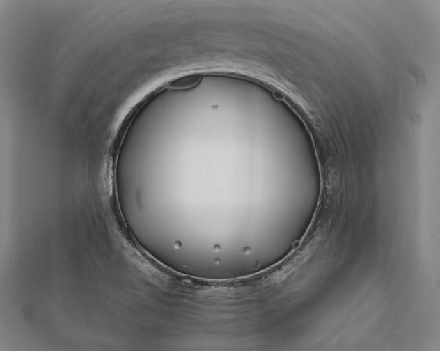 X0000112371510200908271307