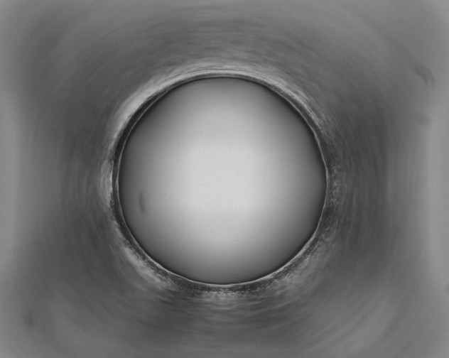 X0000112371511200908271307