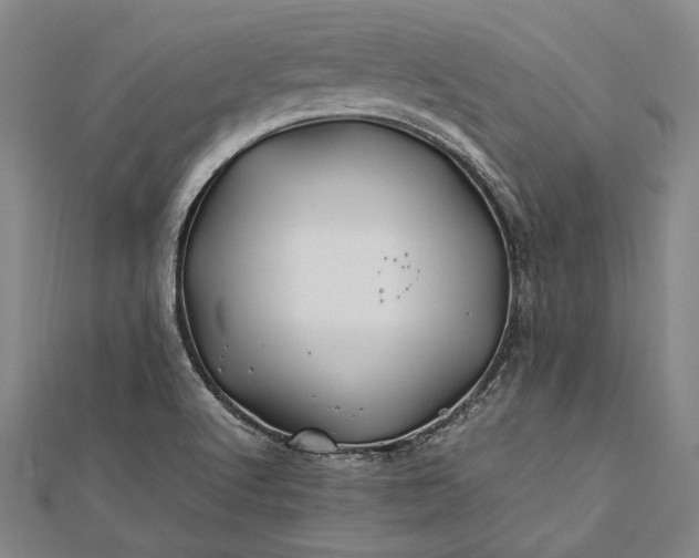 X0000112371512200908271307