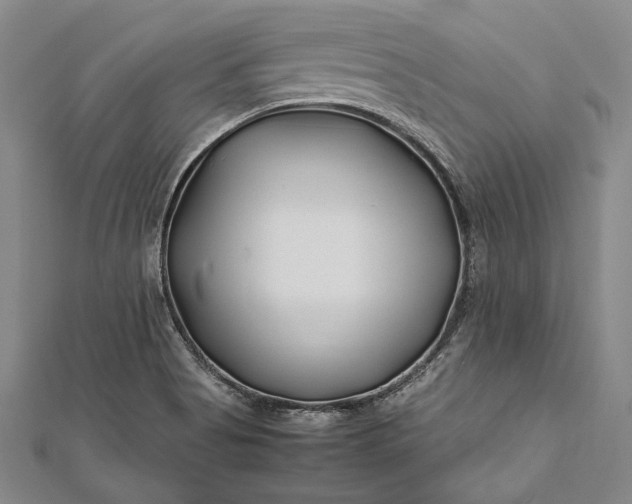 X0000112371513200908271307