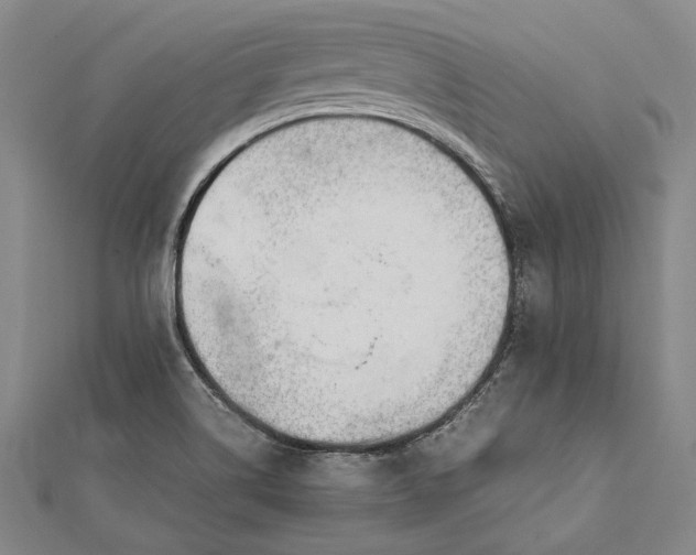 X0000112371514200908271307