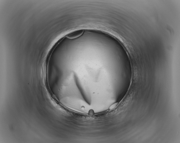 X0000112371515200908271307