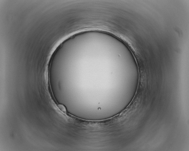 X0000112371516200908271307